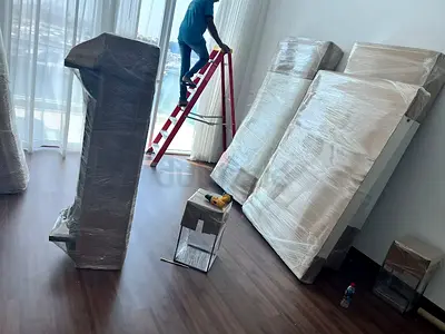 THE GREEN MOVERS AND PACKERS 058_9570156