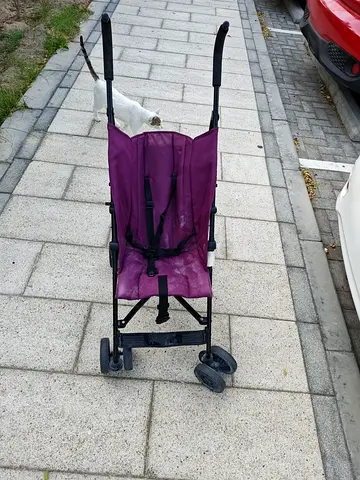 Stroller for Sale