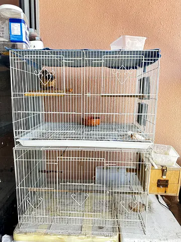 2 PC 60CM Bird Cage and Lots of Playing Materials