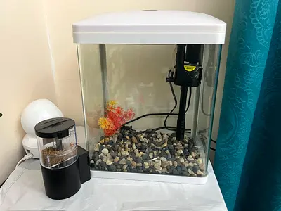 Small Home Aquarium with Filter and light