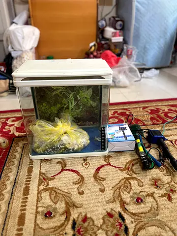 Small aquarium tank with filter, LED light and decor - good condition