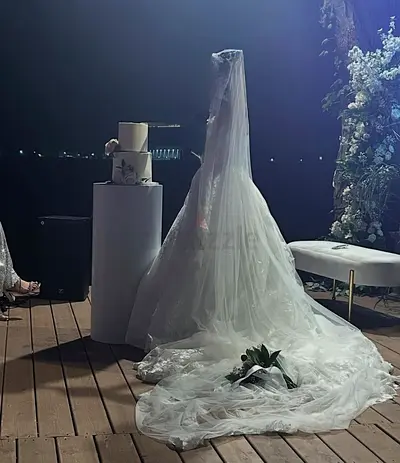 White Bridal Wedding Veil + Gown with Long Train - Used