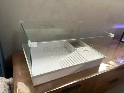 Turtle tank with Turtle and Turtle Food