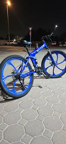 Sole gear foldable bike