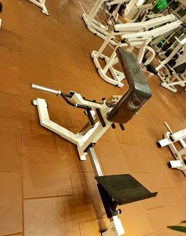 Zero Recoil Bent Over Row Bench