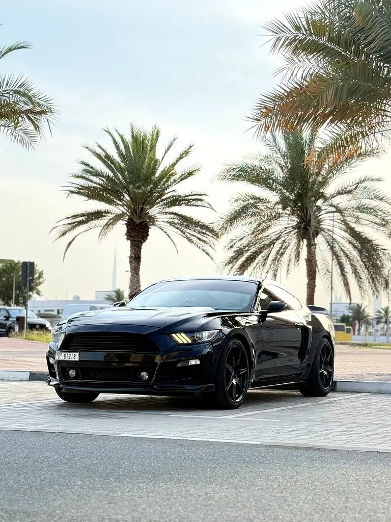 Ford Mustang 2017 — photo 1 of 14