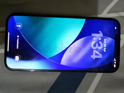 iPhone in good working condition - 1 owner, unlocked