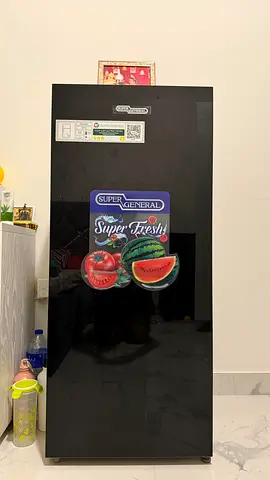 Super General Single-Door Refrigerator - Good Condition