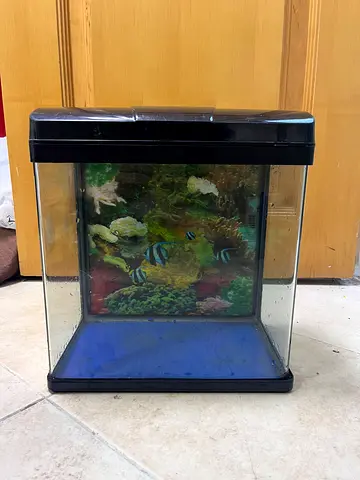 Small Glass Aquarium Tank with Hood - 20L (Used)