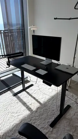 Flexispot motorized sit stand desk black