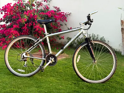 Japanese Bridgestone Alloy MTB with Acera