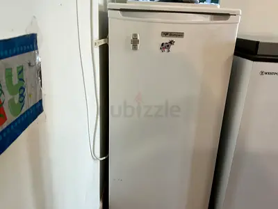 Freezer vertically