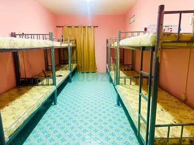 Ladies bed space avaible in Al rigga area near Al Rigga metro Station
