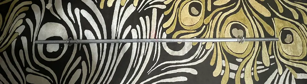 79 inch Gym Bar perfect condition