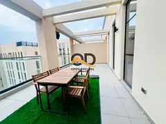 Luxury apartment furnished with Terrace