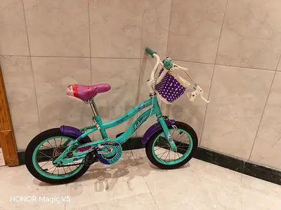 Childs 14-inch Girls Bicycle with Basket — Good Condition