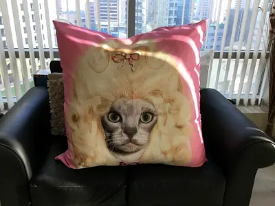 Pets Rock Country Cushion (80x80 cm)