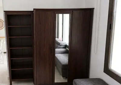 Dark Wood Wardrobe with Mirror and Built-in Shelves, living room full set, sofa bed l shape