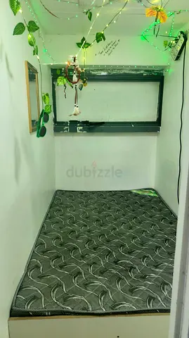 Pattison available for single