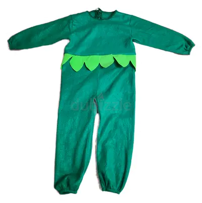 Flower costume. Urgent sale