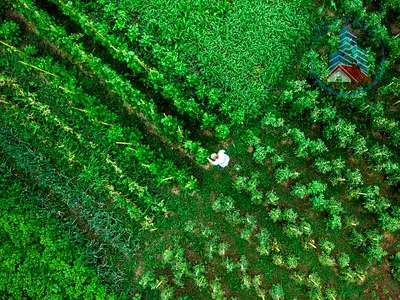 1% شهريًا | 70% تمويل بنكي | لاجون | مجتمع مغلق | مساحات خضراء