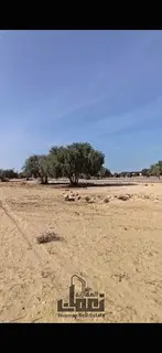 Special Offer | Corner Residential Plot for Sale in Al Hoshi – Prime Location &amp; Attractive Pri