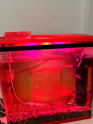 Fish Tank with LED Light and Filter