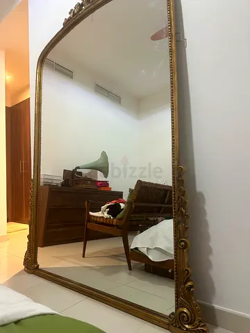 Anthropologie Primerose Large Mirror