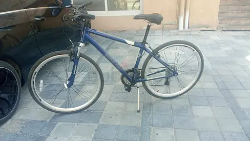 Used only one month Schwin Fram large tire 29