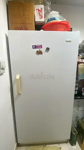 Upright Freezer / Single Door Refrigerator - Good Working Condition