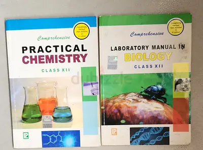 Class 12 lab manual CBSE