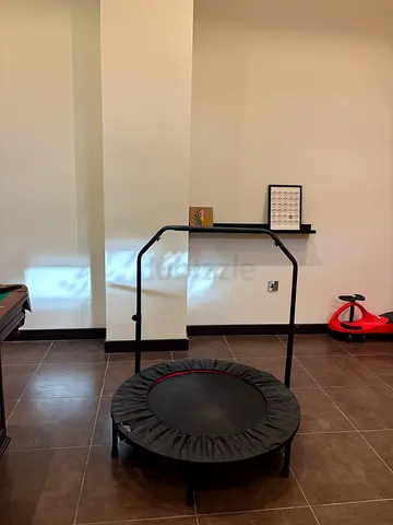 Mini Fitness Trampoline with Adjustable Handle