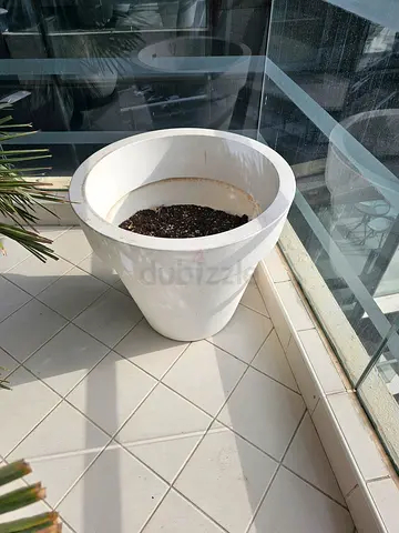Large plant pot