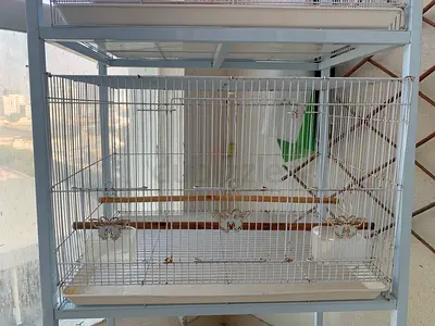 Bird Cage in Good Condition