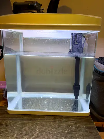 Small Glass Aquarium Tank with Filter and Hood