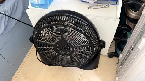 fan