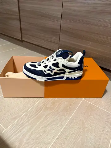 Louis vuitton sneakers skate