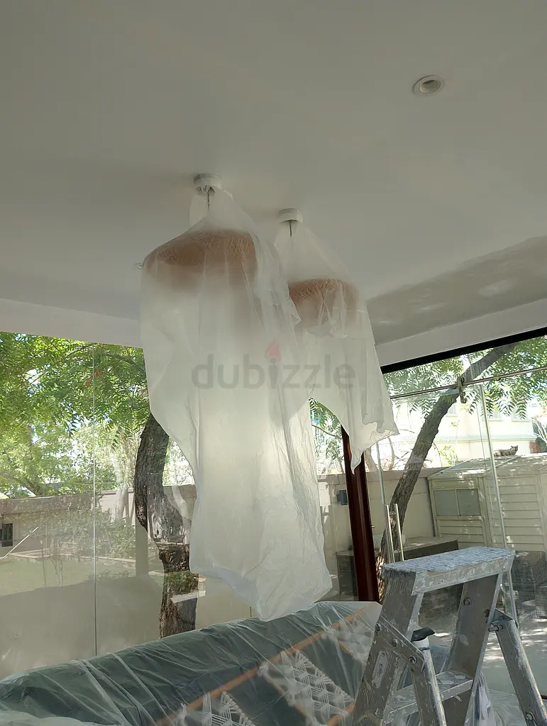 DPV_View_Image_4