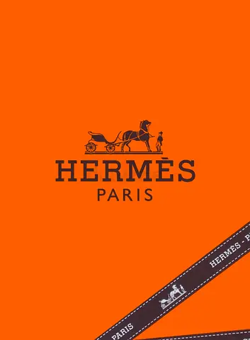 (LIMITED TIME OFFER, HALF PRICE FOR AED 800 ONLY) Hermès ExLibris Les Parisiennes Twilly (BRAND NEW)
