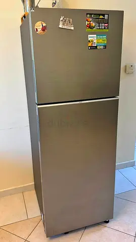 Silver Top-Freezer Refrigerator - Good Condition, 2-Door