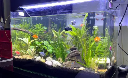 Aquarium with lots of accessories