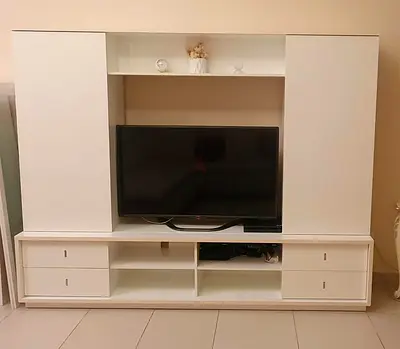 Wall Unit from Home Center - Croco Print Sliding Doors **