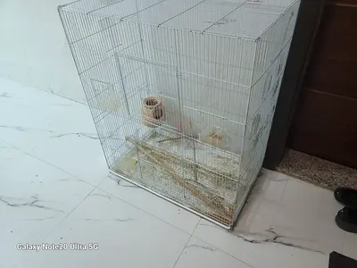 Large metal bird Cage