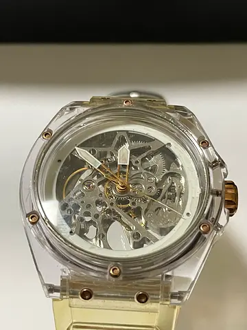 Police Skeleton Mechanical Watch with Clear Strap