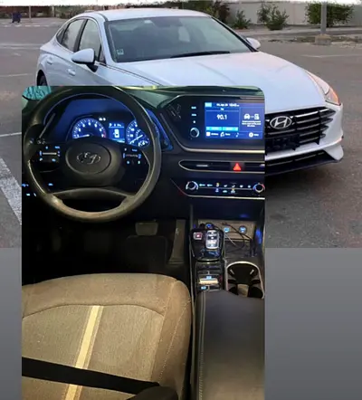 أبوظبي الفلاح الجديد