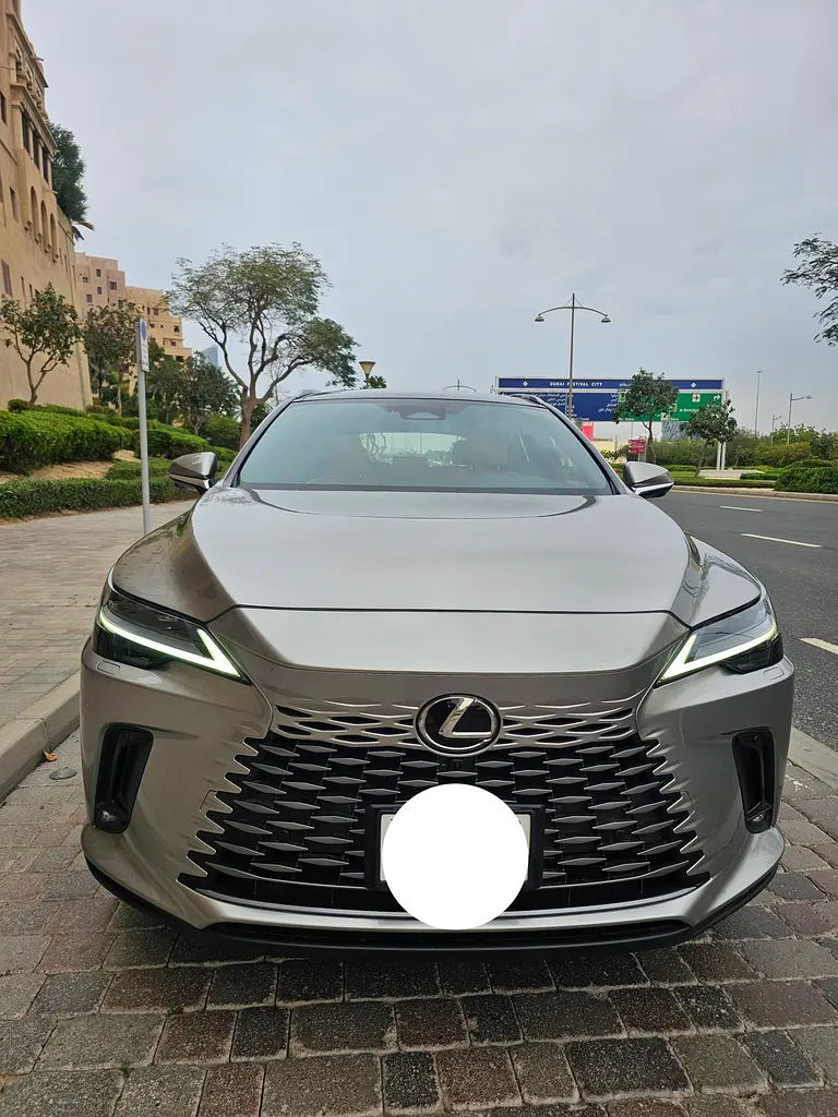Lexus RX-Series 2025 — photo 1 of 13