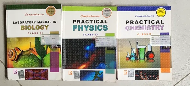 Class 11 lab manual CBSE