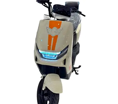 Kugoo T29 Electric Scooter