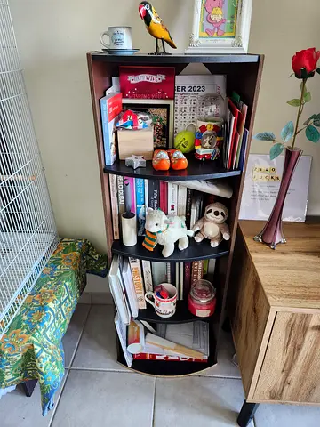 Side book Cabinets x2 – perfect for books, décor  extra storage