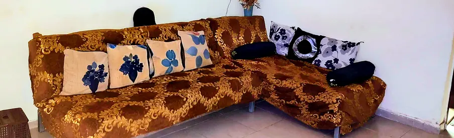 Sofa cum bed
